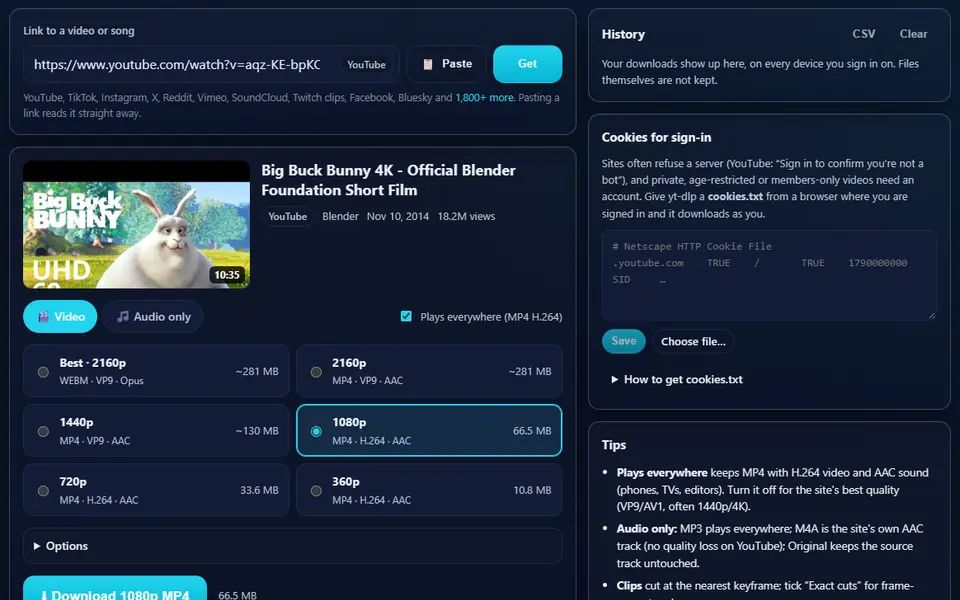 Video Downloader after reading a YouTube link to Big Buck Bunny: the thumbnail, title and channel, and a list of qualities from 360p to 2160p with 1080p MP4 selected