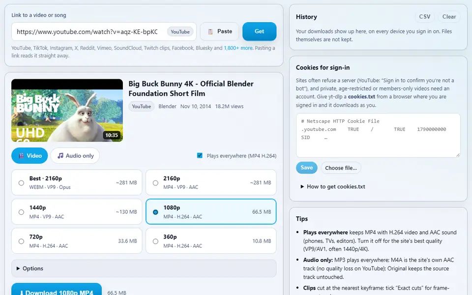 Video Downloader after reading a YouTube link to Big Buck Bunny: the thumbnail, title and channel, and a list of qualities from 360p to 2160p with 1080p MP4 selected